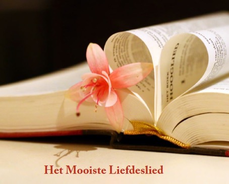 Lees meer over het artikel Het mooiste liefdeslied – praktische lessen uit Hooglied #1: inleiding & liefdesuitingen