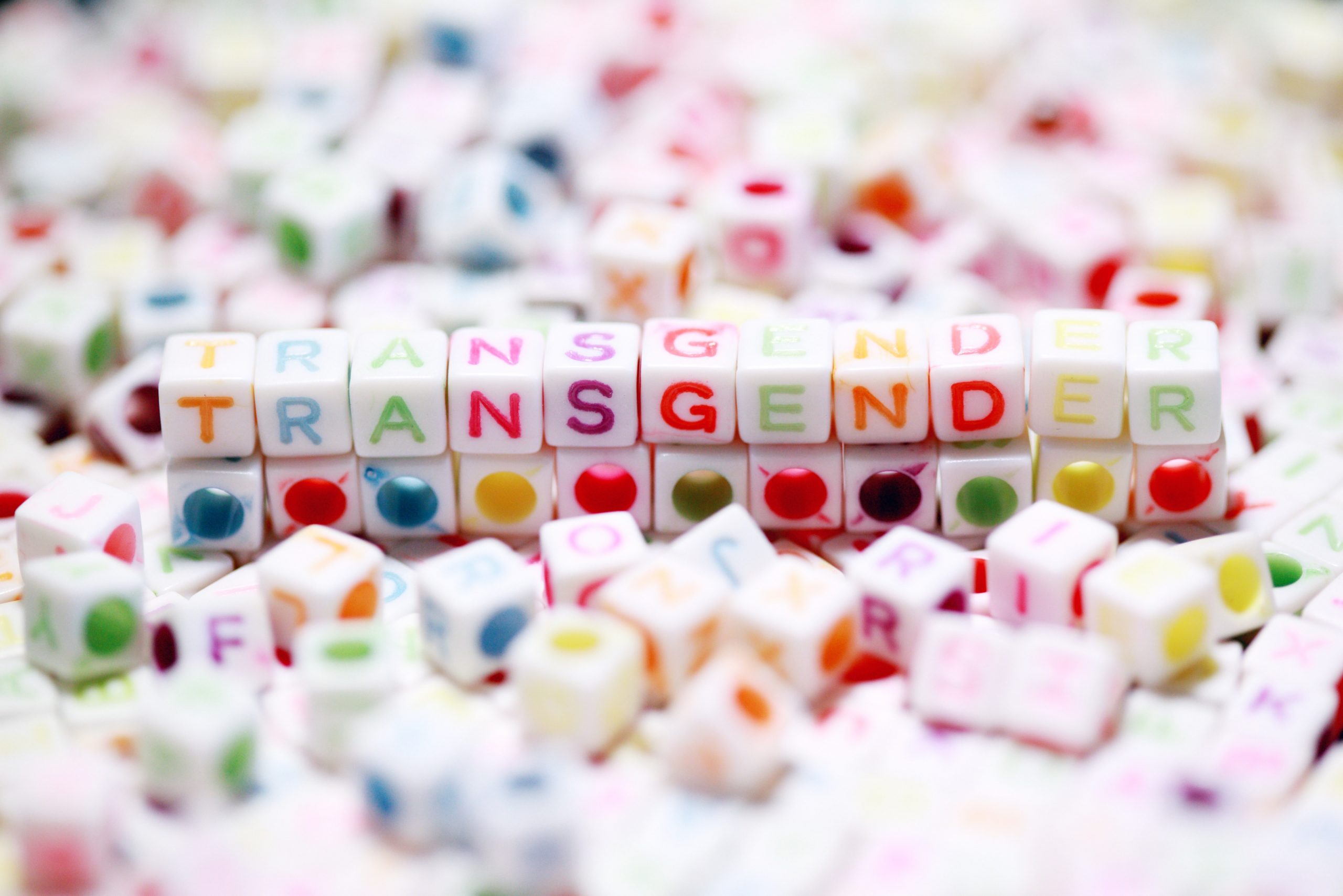 Lees meer over het artikel Burgers kritischer op nieuwe transgenderwet