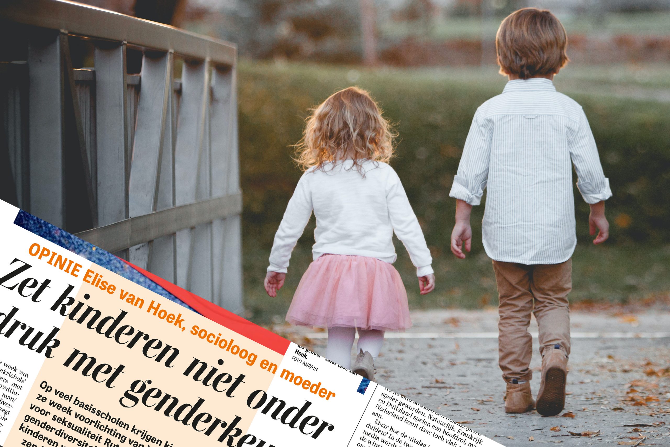 Lees meer over het artikel Massale bijval voor kritisch Telegraaf-artikel over genderkoek