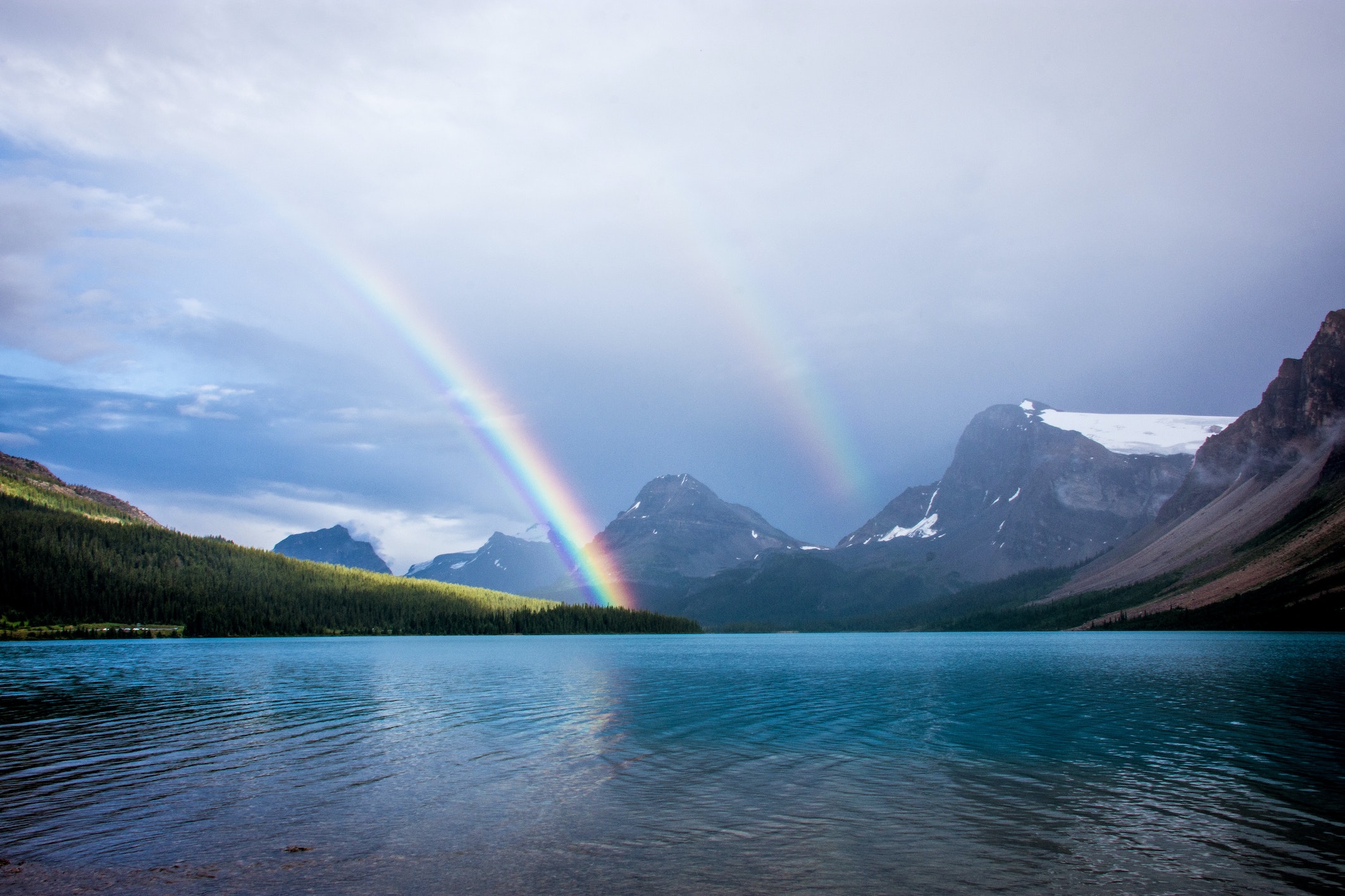 Lees meer over het artikel Commentaar: Over de regenboog en de aap van God