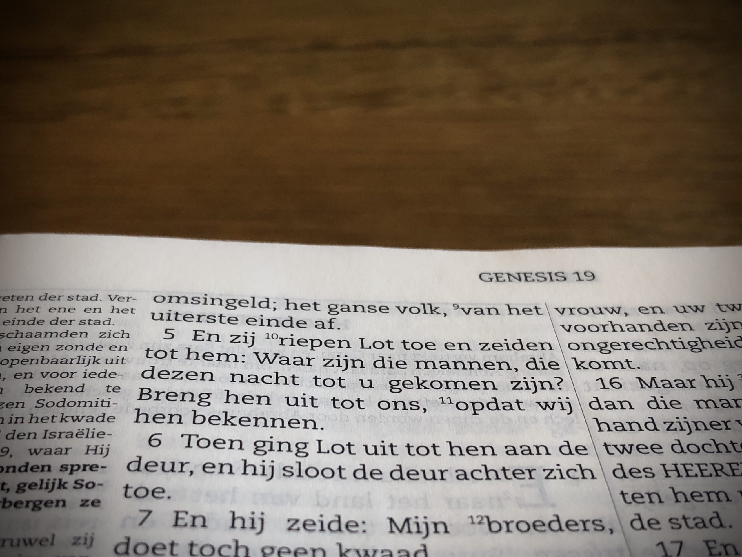 Lees meer over het artikel Bijbelstudie: Genesis 19 en sodomie