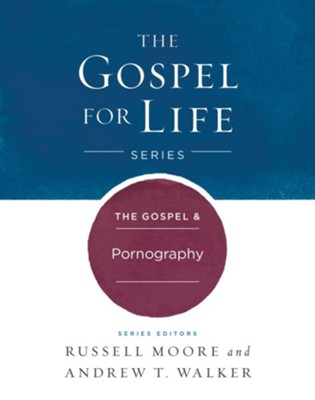 Lees meer over het artikel The Gospel & Pornography