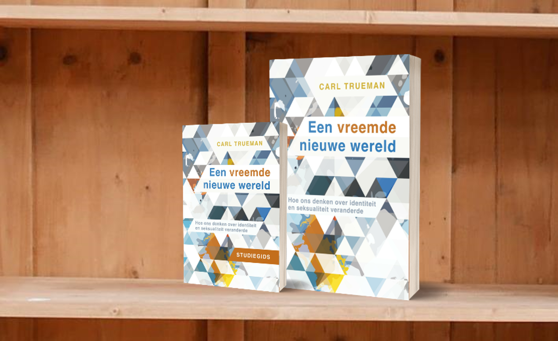 Lees meer over het artikel Een Vreemde Nieuwe Wereld; het nieuwe denken over zelf