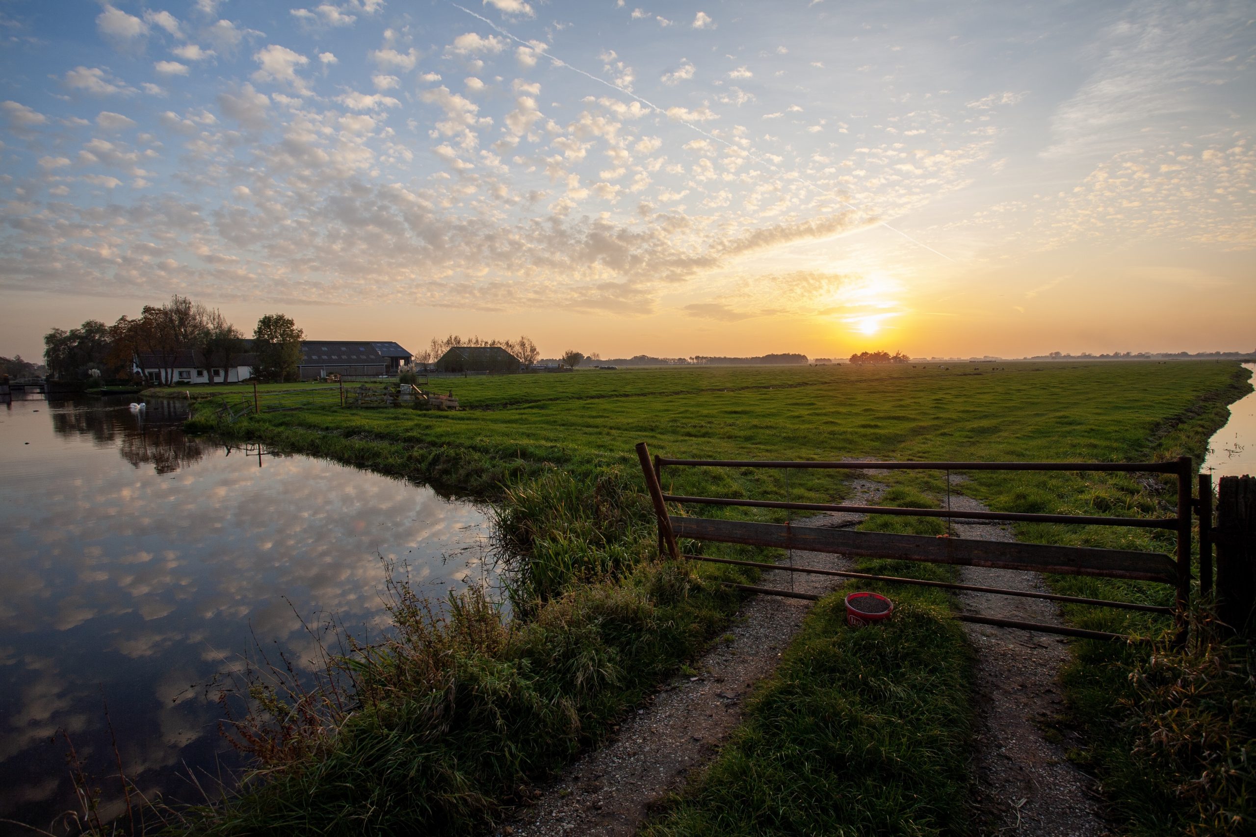 Lees meer over het artikel Hoe gaat Omtzichtig Nederland van Boeren en Burgers eruit zien?