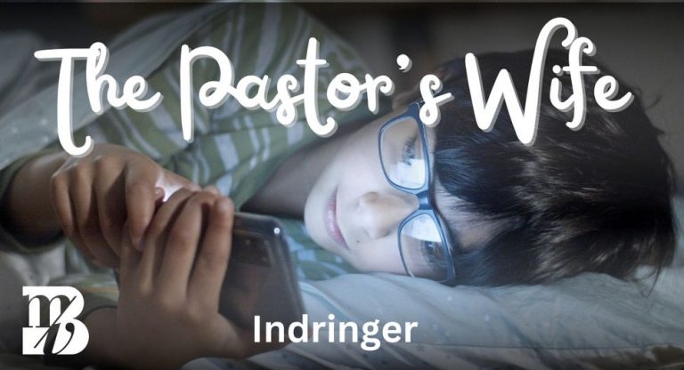 Lees meer over het artikel Indringer