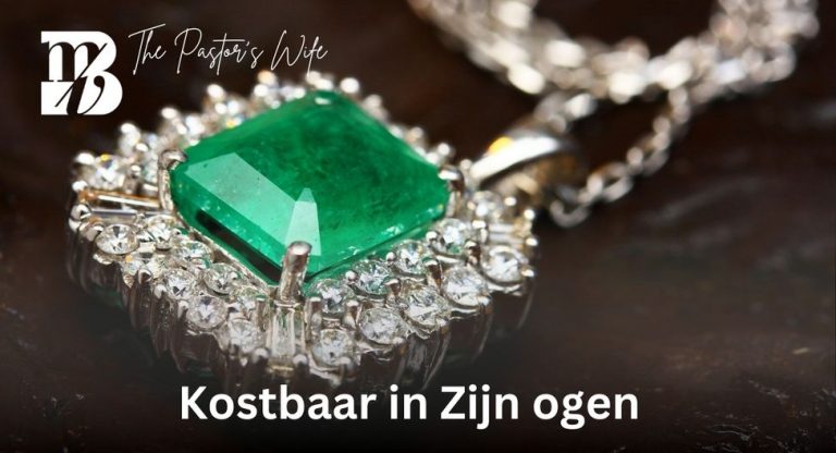 Lees meer over het artikel Kostbaar in Zijn ogen 