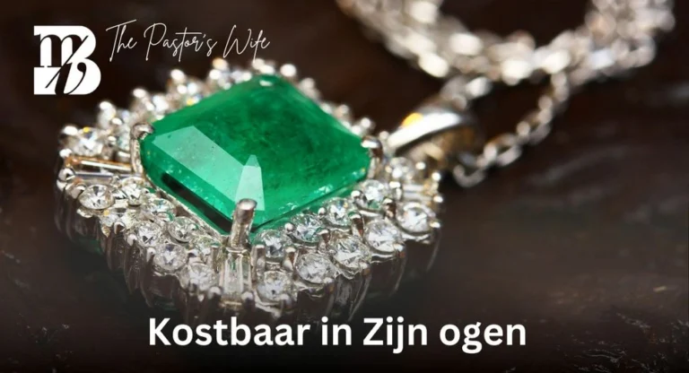Lees meer over het artikel Kostbaar in Zijn ogen 