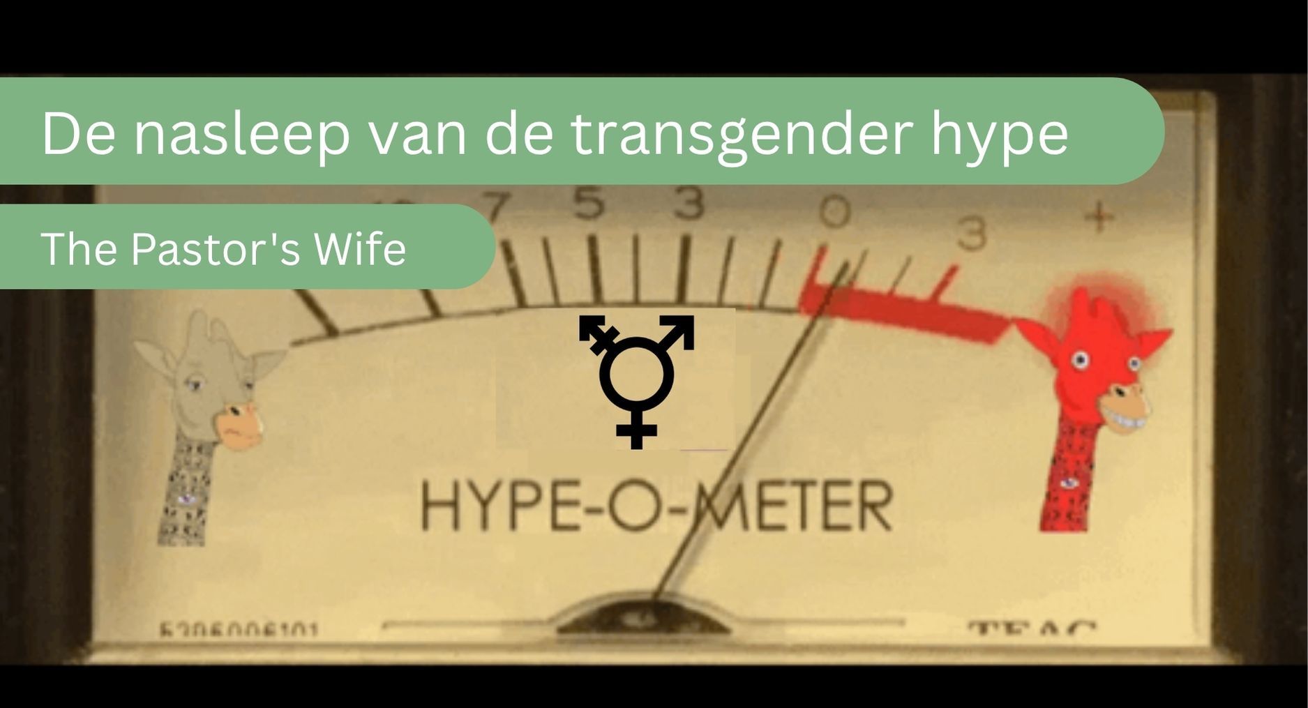 Je bekijkt nu De nasleep van de transgender hype