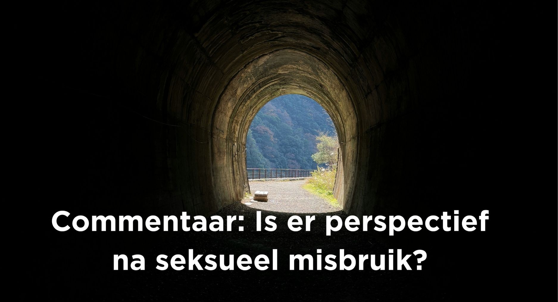 Lees meer over het artikel Is er perspectief na seksueel misbruik?