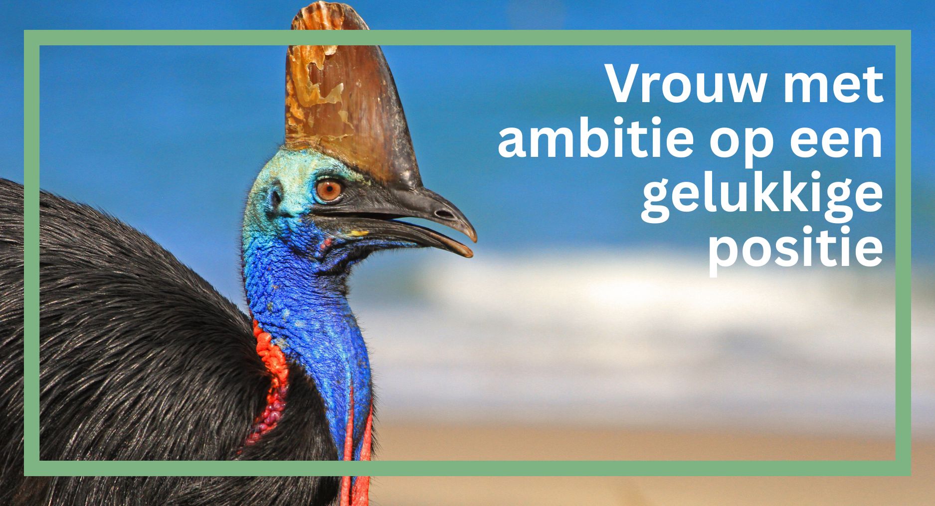 Lees meer over het artikel Vrouw met ambitie op een gelukkige positie