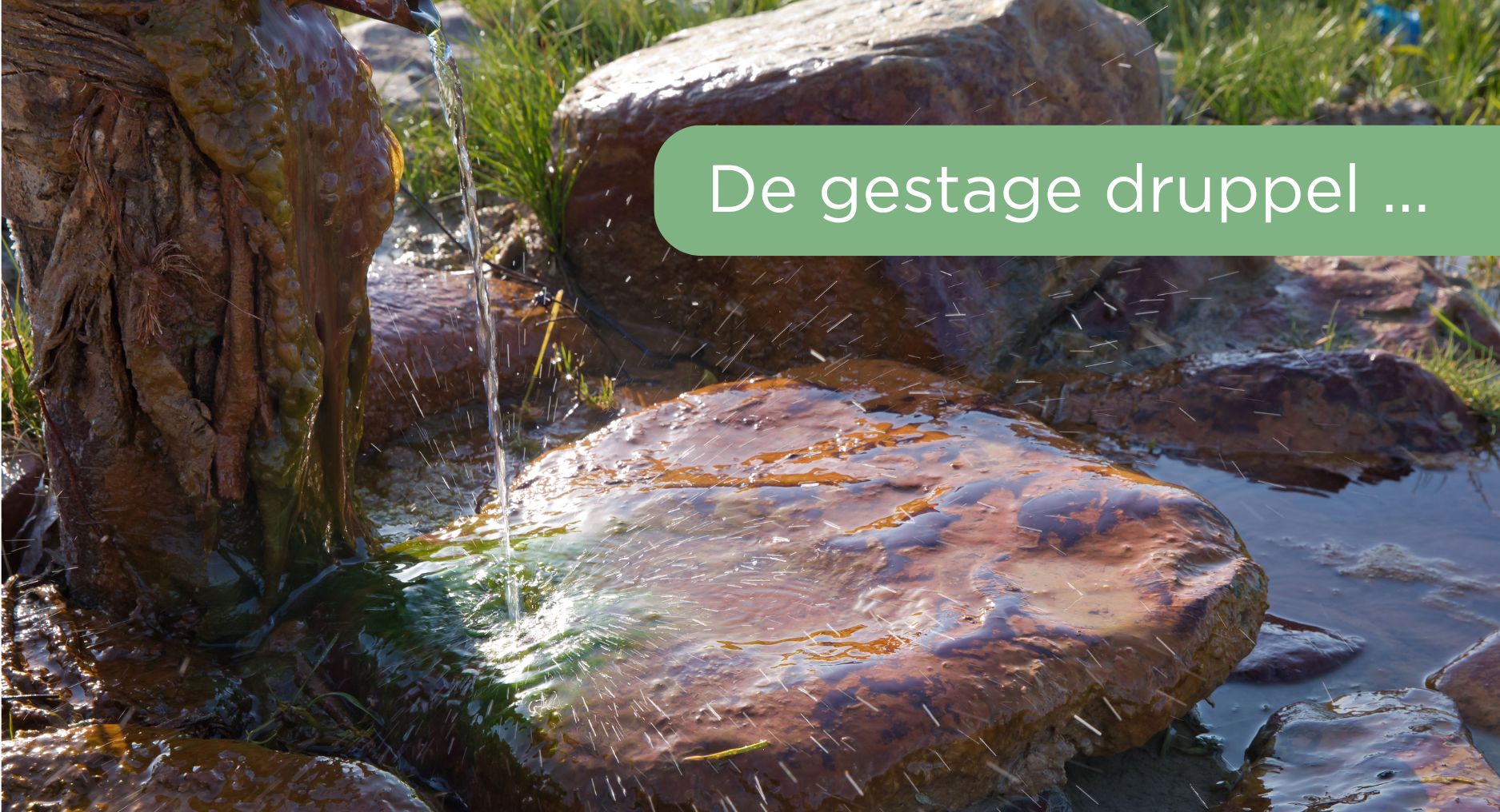 Lees meer over het artikel De gestage druppel holt de steen uit