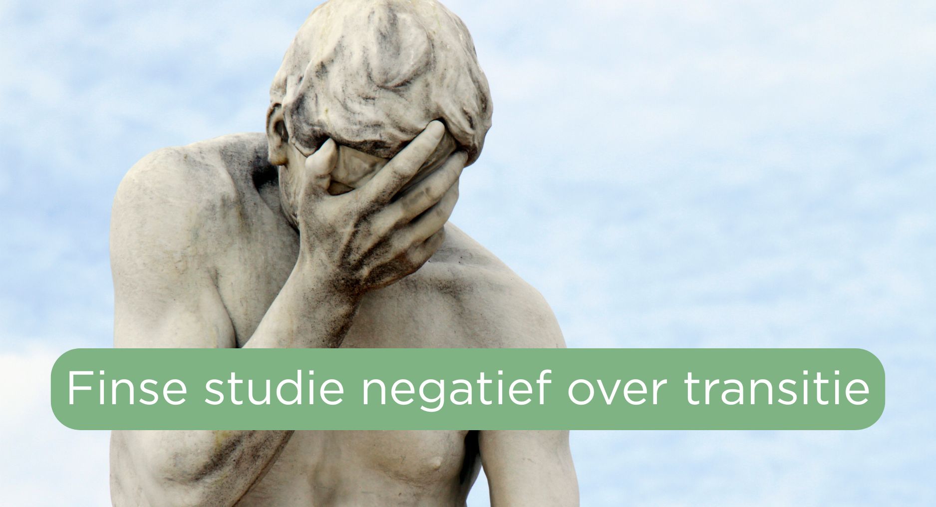Lees meer over het artikel Finse studie rapporteert negatief over effecten van transitie