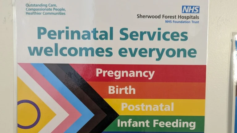 Lees meer over het artikel Over birthing parents en chestfeeding