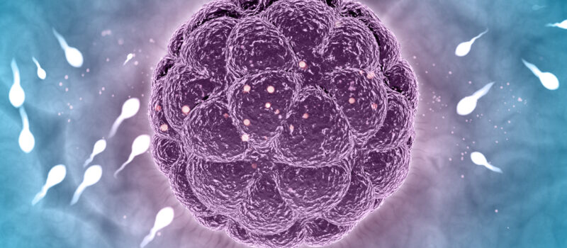 3D render of a medical abstract showing sperm meeting egg cell. Bron: Magnific - KJpargeter