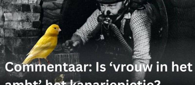 Header Artikel (32)