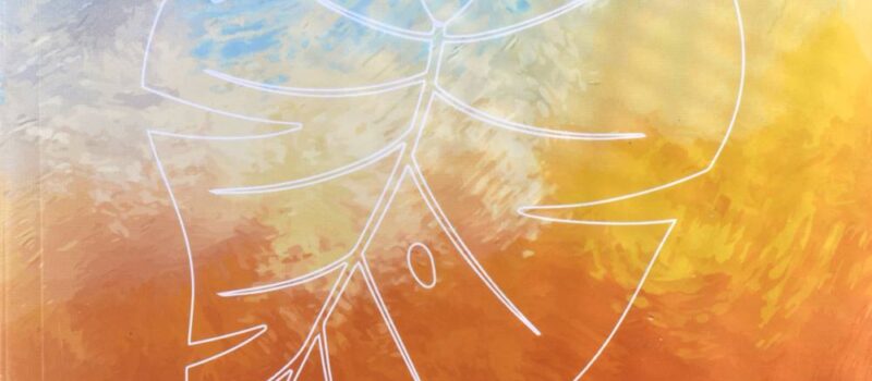 Ontkleding_Jeff-Pollard-voorzijde-klein