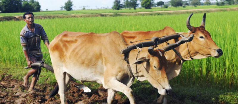 Als Hij ons een juk op de hals legt, gaat Hij met ons onder datzelfde juk.