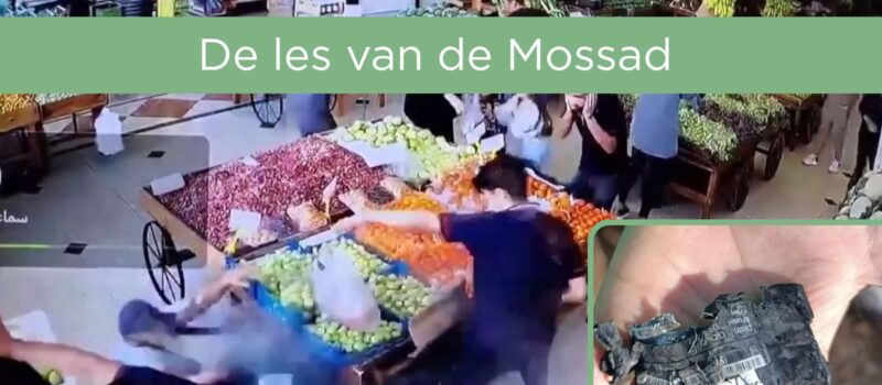 Website BBMV (17)