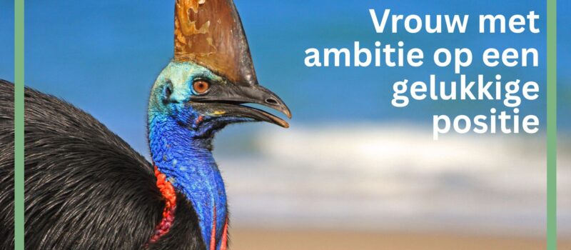 Website BBMV (18)