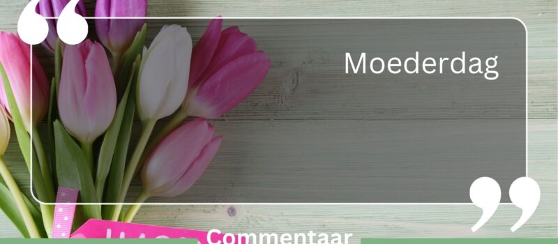 Website BBMV (30)