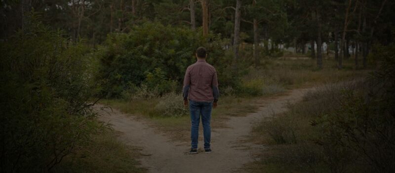 Website BBMV (4)