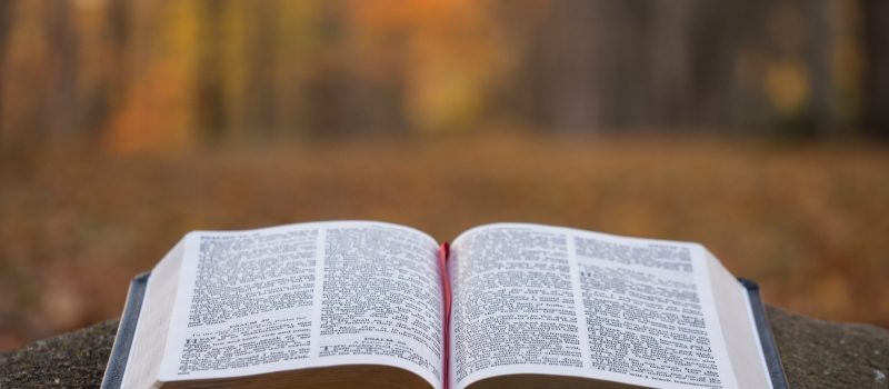 aaron-burden-9zsHNt5OpqE-unsplash (3)