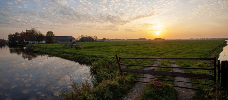 Polderlandschap is symbool van Nederlandse politiek. Bron: Freepik, Draadmateriaal.