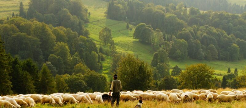 biegun-wschodni-vD3L-rN_qNw-unsplash