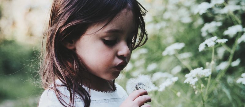 caroline-hernandez-g5NjiLFgYy8-unsplash