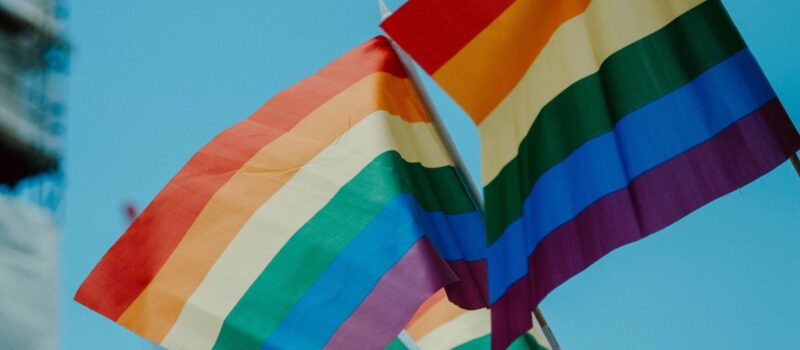 regenboogvlaggen