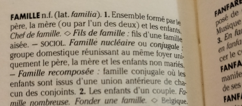 definitie 'gezin' in woordenboek Larousse