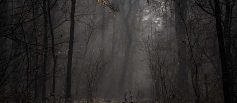 pexels-anton-atanasov-1655901