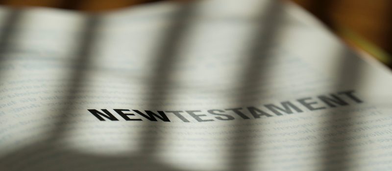 pexels-christiane-2565227