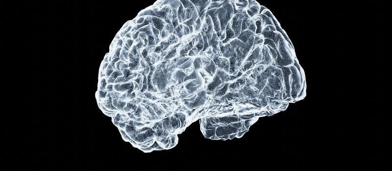 Afbeelding van het brein. Bron: Unsplash_Shawn Day