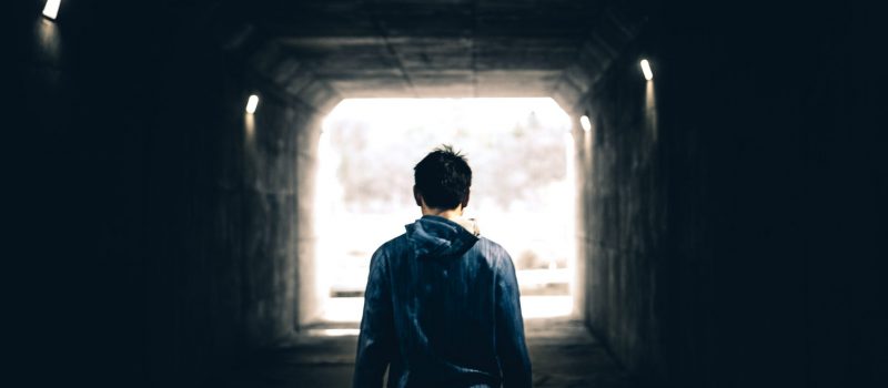 warren-wong-u7dy-n4uZVk-unsplash